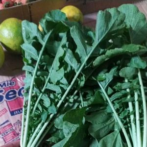 Daun lobak putih segar 200gram