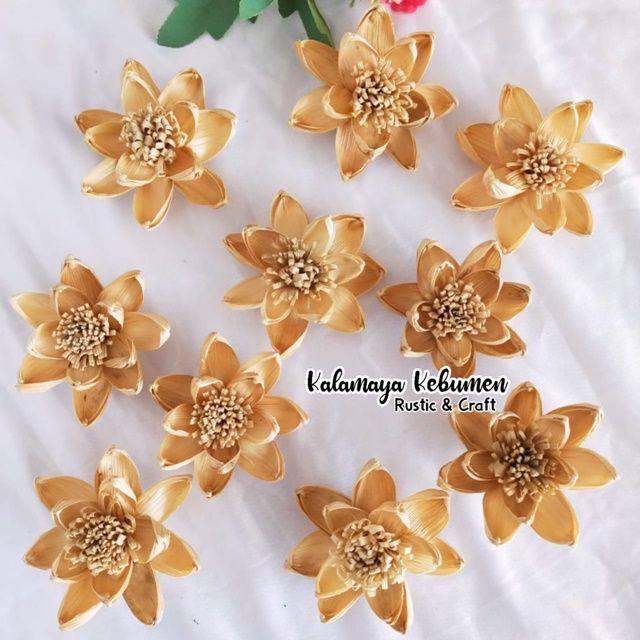 Sonlar bilan onanizm watch online