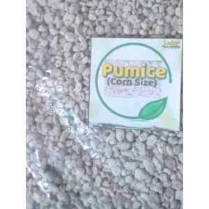 Corn size Pumice stone for plants 500 grams & 1 kilo | for succulents & cactus | Fast draining