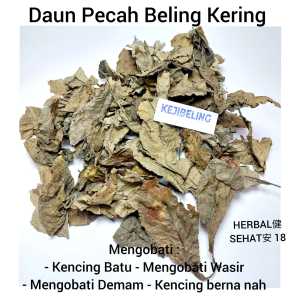 500 gram - Daun Keji Beling/Pecah Beling Kering Herbal / Obat Batu Ginjal Kencing Manis Wasir