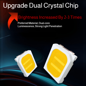 ไฮไลท์ สเปกเซอร์ สกรู ได้รับ โคมไฟ