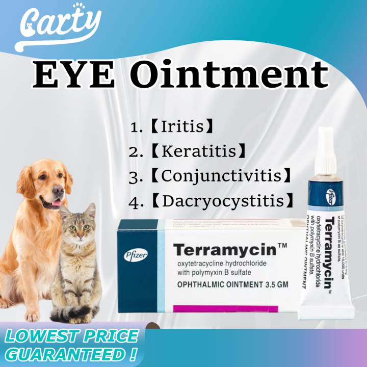 Terramycin Antibiotic Ointment for Pet Eye Infection Treatment in Dogs ...