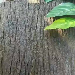 ZZSA Simulated Bark Wrapped Around Pillars Covering Fake Trees Pasting Walls Indoor and Outdoor Water Decoration Q9Z6P