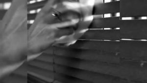 Blind Cleaner Tool 2025 New Window Blind Cleaner Duster Tool7 Fingers Dusting CleanerBlind Duster Brush for Wood Blinds Air Conditioner Vents Fans Car Vents Dust Dirt Cleaning (2 Pack-A)