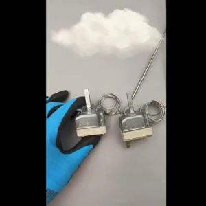 250V 16A Single-Phase 2PIN 60-300 Degree 300 Degree 55.19052.830 Adjustable Automatic Reset Temperature Switch Thermostat