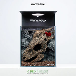 WWWAQUA | Dragon’s Lair (Desktop Nano Aquarium)
