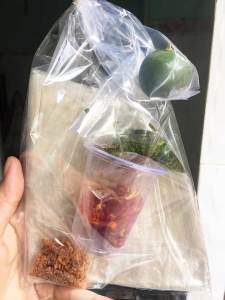 Bánh Tráng Tây Ninh Phơi Sương Mỡ Hành - Túi 150g - Đặc Sản Tây Ninh