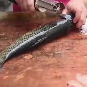 Fish scale scraper electric fish scale machine household fish killing artifact fish scale planer automatic fish brush removal and fish lin tool刮鱼鳞器电动鱼鳞机家用杀鱼神器鱼鳞刨全自动鱼刷除打去鱼麟工具