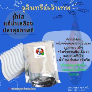 RAKPLA แถมช้อน‼️แบคทีเรียแห้ง จุลินทรีย์สภาพน้ำใสบ่อปลา ตู้ปลา 🐟 Bac Start ปรับคุณภาพน้ำ & ดูแลสุขภาพปลา 250 กรัม ปลอดภั