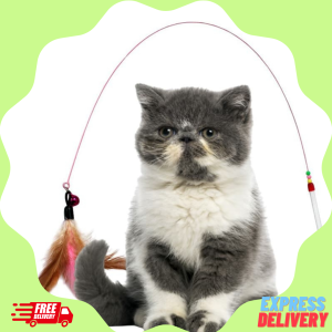 Đồ Chơi CẦN CÂU BẰNG THÉP GIẢI TRÍ CHO MÈO