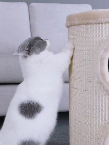 Cat House Anti-Scratch Wear-Resistant Large Space Cat Apartment Detachable Cat Climbing Frame