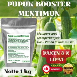 Pupuk Booster Mentimun Pelebat Organik Cepat Berbuah Lebat Besar Anti Rontok Pembesar Mentimun