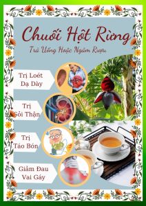 Trà Chuối Hột Rừng 40 túi lọc giảm sỏi thận giảm đau vai gáy giảm táo bón hiệu quả