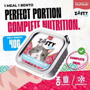 Numew Zesty Bento Mix Double Layer Complete Meal 40g | Cat Food