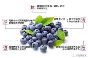 Bilbelite Billberry Extract