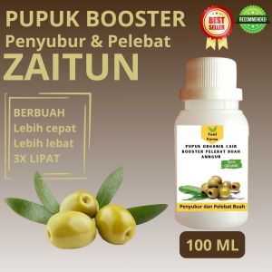 Pupuk Zaitun Cepat Berbuah / Pupuk Pelebat Buah Zaitun / Pupuk Booster Zaitun Cair