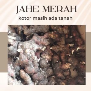 Jahe Merah 1kg Medan super segar
