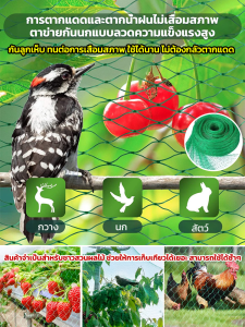 สวน ต้นไม้ ผลไม้ ต้นไม้ ตาข่ายนก หน้าจอกันนก โพลีเอทิลีน กลางแจ้ง กันฝน ทนต่อแสงแดด