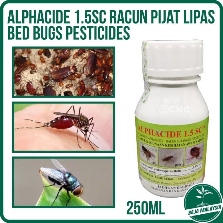 Alphacide 1.5SC 250ML Bed Bugs Pesticides (Racun Pijat Lipas) | Lazada