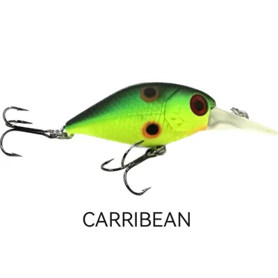 SPECIAL OFFER!!!BOSSNA Drunken 36F Floating Lure