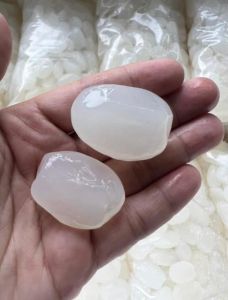 Hạt Đác Tươi Dẻo Mềm Ngon Ngon Size To (Size Đại) 1Kg - FreeShip Max - SHOP NGỌC GIÀU THỐT NỐT