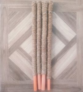 Coco Pole 2 feet Plant Support For Creeping Plants/Vines/Shrubs/Any Other Plants (Monstera/Pothos)