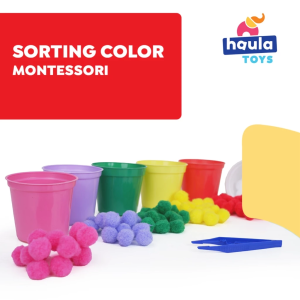 HAULA TOYS | Mainan Montessori / Mainan Edukasi Sorting Color
