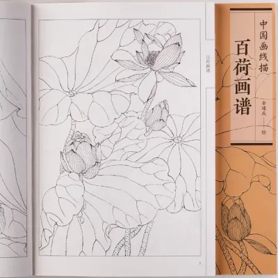 GanGdun Chinese book 94 Pages Chinese Painting Hundred Flowers Line Drawing Collection Art Book Adult Coloring Book Relaxation And Anti-stress Book 百花画谱 国画工笔画线描画稿白描底稿初学者基础临摹书花卉植物