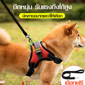 เชือกจูงสุนัขแบบเต็มตัว สายจูงเชือกไนล่อน เซ็ท2ชิ้น สายจูงฝึกสุนัข สายจูงเดินเล่น สายจูงสุนัข สายรัดสุนัข สายจูงแมว เชือกไนล่อน