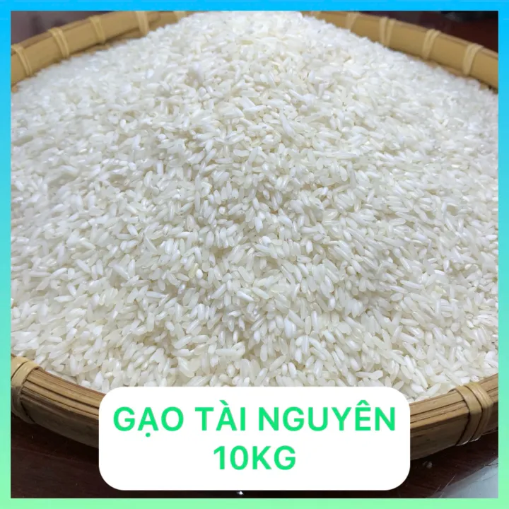 Gạo Tài Nguyên Chợ Đào Túi 5Kg - Dòng gạo khô, Nở xốp mềm ngon cơm thích hợp cho người không thích ăn gạo dẻo