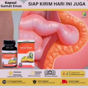 Obat Turun Berok Hernia Inguinalis Umbilikal Femoralis Turun Peranakan Hidrokel Varikokel - Kapsul Gamat Emas