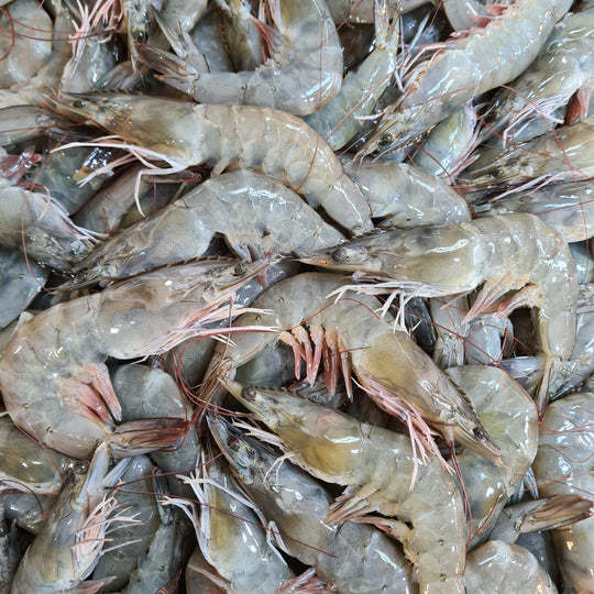 Large Grey Prawns (1kg) | Lazada Singapore