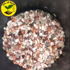 Batu hias pancawarna 1KG dekorasi aquarium dan aquascape