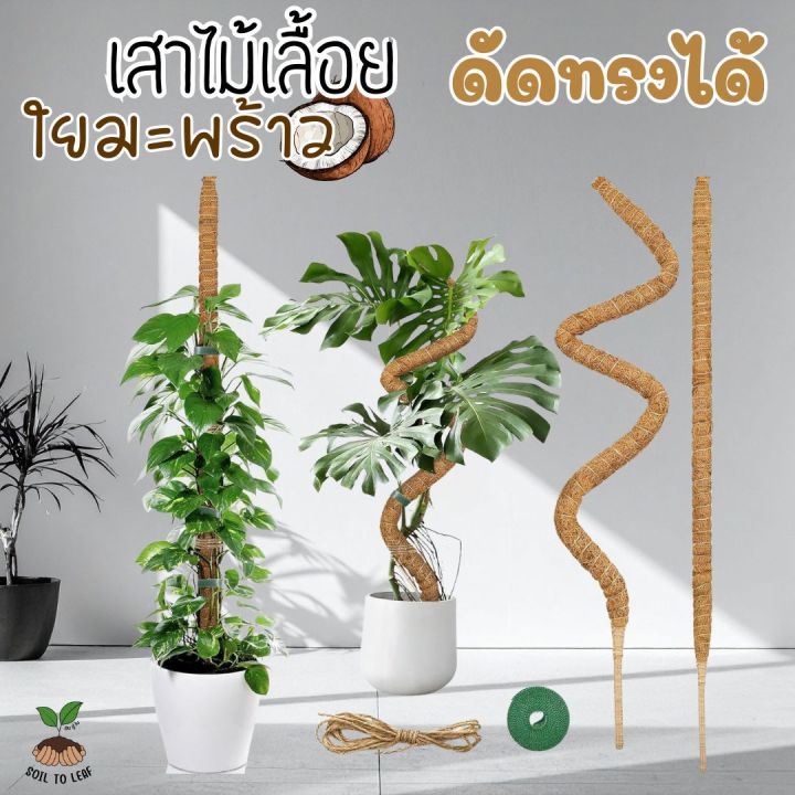 เสาหลักไม้เลื้อยใยมะพร้าว ดัดทรงได้