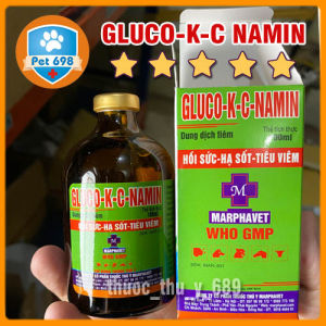 GLUCO-K-C NAMIN 100ml MARPHAVET sản phẩm cao cấp hỗ trợ hồi sức thú bệnh PET-698