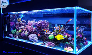 Vi Sinh Bột KOIKA OBIO 3IN1  Plus 3 Đậm Đặc CHO CÁ CẢNH