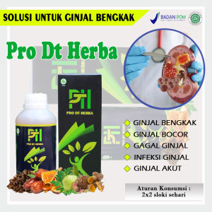 Obat Batu Ginjal Herbal Mengatasi Berbagai Masalah Penyakit Ginjal Infeksi Saluran Kencing Paling Ampuh-PRO DT HERBA