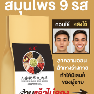 บำรุงไตและตับตามธรรมชาติ ชาโสมจิ่วเป่า ชาอินทผลัมแดงและชาหม่อน ชาโกฐจุฬาลัมภา