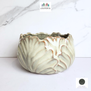 The Leaferie Kolden Shallow plant pots. flowerpot . flowerpots . flower pot . planter . planters