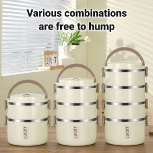 agetet Stainless Steel Insulated Multi-layer Lunch Box Double-layer Sealed Lunch Box