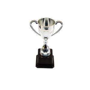 RANG Plastic Material Plastic Trophy Small Size Multi Style Award Trophies Honor Commemoration Trophy Model Award Cup Childrens Dance Competition