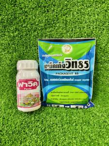 โรคมะนาว รักษา แคงเกอร์มะนาว แคงเกอร์ มะกรูด ส้ม ขี้กาก ใบจุด ราสนิม ใบไหม้ จุดนูนสนิม น้ำตาลเข้ม ผลดำ