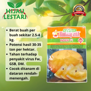 Semangka Inden F1 20gr - Benih biji buah semangka lonjong berwarna kuning berbiji sangat manis