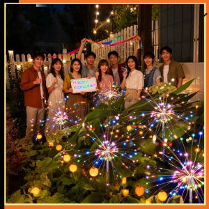 Ramadan Solar LED Firework Fairy Light 8 Modes Party Garden Balcony Lawn Lamp Raya Lampu