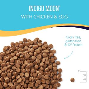 Solid Gold Chicken & Egg - Indigo Moon - High Protein & Grain-Free - Holistic Dry Cat Food for All Life Stages 12lbs