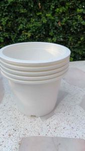 กระถางต้นไม้สีขาว 8” แพ็ค 5 ใบ สินค้าพร้อมส่ง