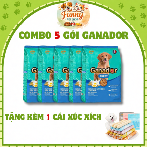 COMBO 5 GÓI Thức ăn cho chó con dạng hạt cứng Ganador trứng và sữa 400g
