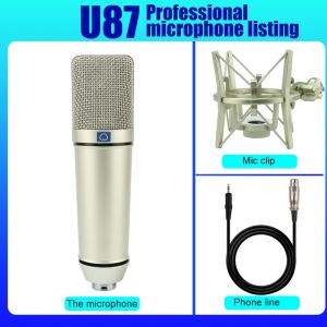 RAYHAYES Professional Condenser Microphone for Studio Singer Videoke & Recording