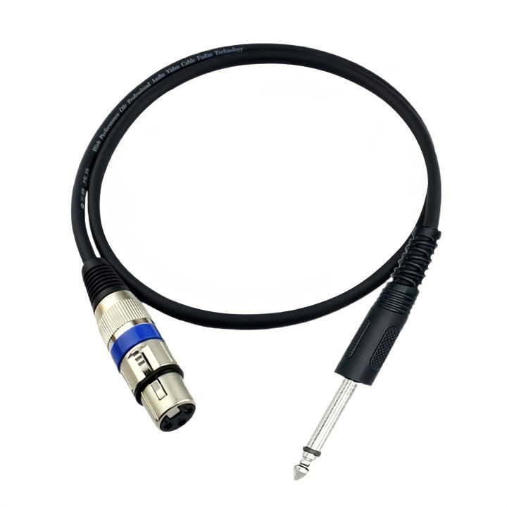 Loa cáp truyền âm thanh âm thanh dây Bộ chuyển đổi đực sang XLR 6.35mm ...