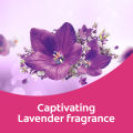 Softlan Anti Wrinkles Lavender Fresh (Purple) Fabric Softener 500ml Refill Concentrate Pouch. 